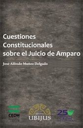 [9786078127832] CUESTIONES CONSTITUCIONALES DEL JUICIO DE AMPARO - 1.ª ED. 2013